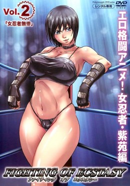 Portada de Fighting of Ecstasy