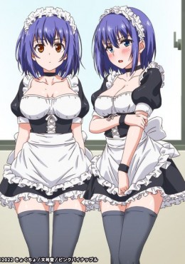 Portada de Kaede to Suzu The Animation